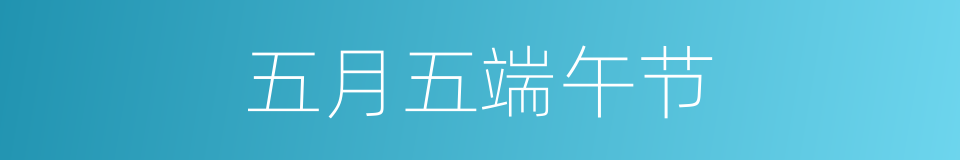 五月五端午节的同义词