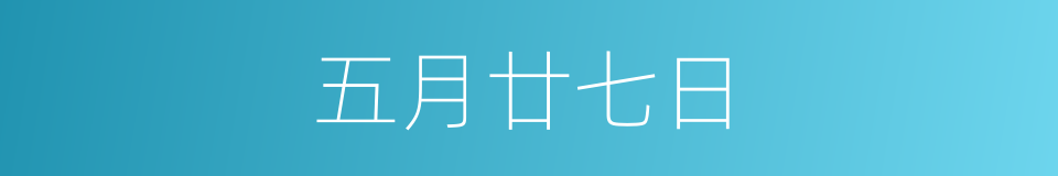 五月廿七日的同义词