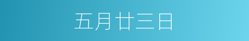 五月廿三日的同义词