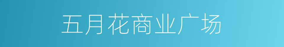 五月花商业广场的同义词