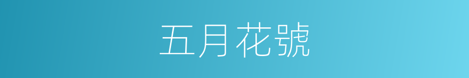 五月花號的意思
