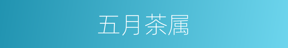 五月茶属的同义词