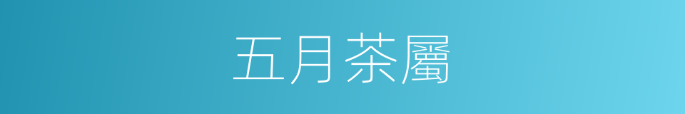 五月茶屬的同義詞