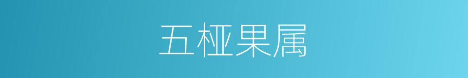 五桠果属的同义词