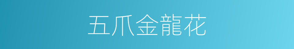 五爪金龍花的同義詞