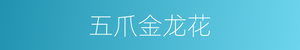 五爪金龙花的同义词
