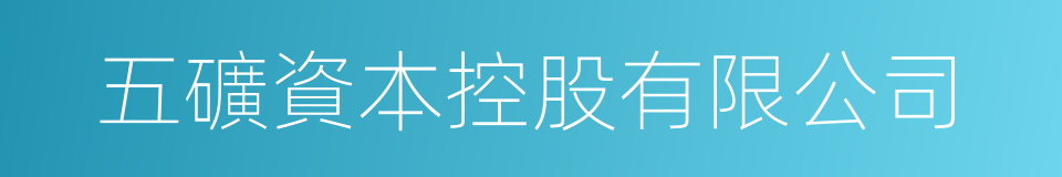 五礦資本控股有限公司的同義詞