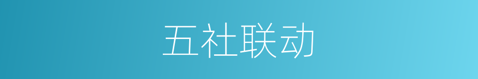 五社联动的同义词