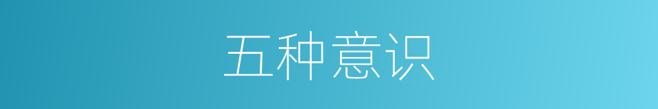 五种意识的同义词