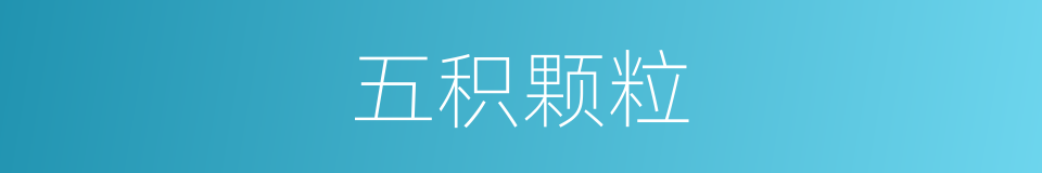 五积颗粒的同义词
