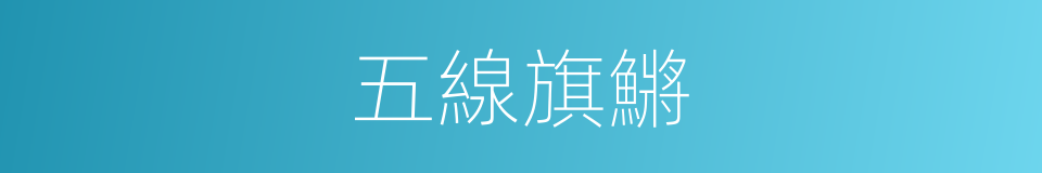 五線旗鱂的同義詞