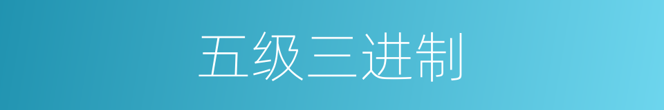 五级三进制的同义词
