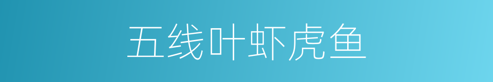 五线叶虾虎鱼的同义词