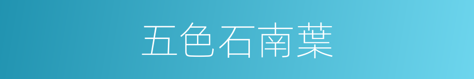 五色石南葉的同義詞