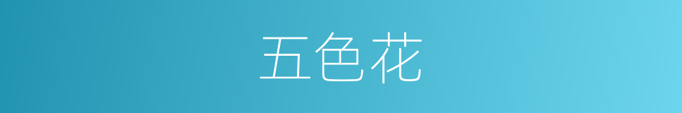 五色花的同义词