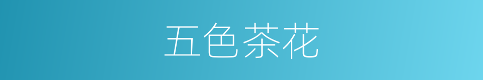 五色茶花的同义词