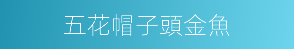 五花帽子頭金魚的同義詞