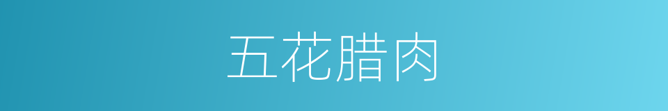 五花腊肉的同义词