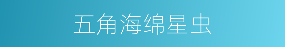 五角海绵星虫的同义词