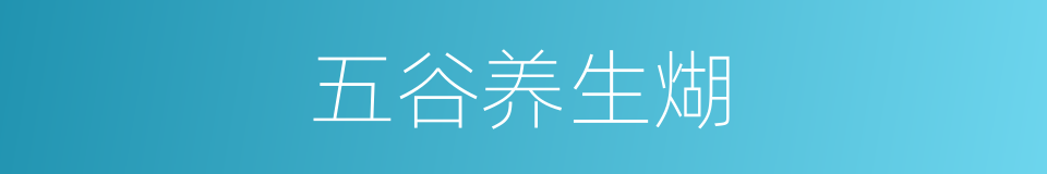 五谷养生煳的同义词