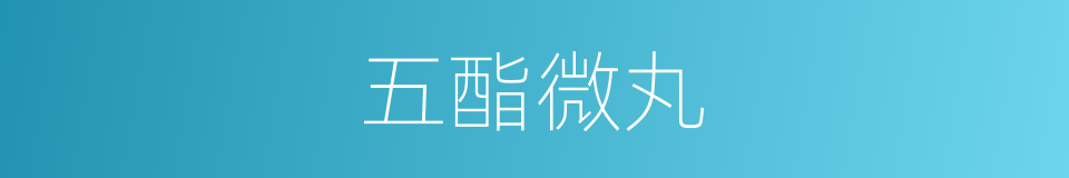 五酯微丸的同义词