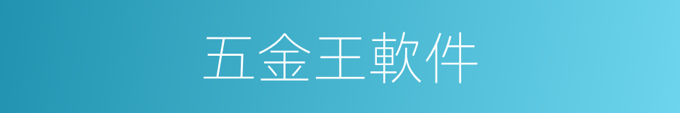 五金王軟件的同義詞