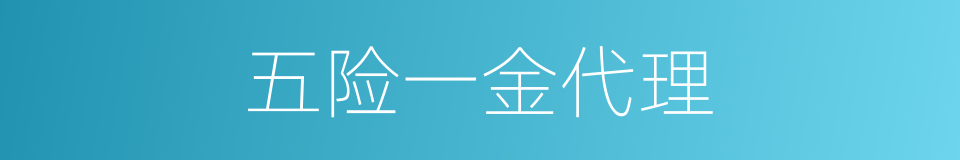 五险一金代理的同义词