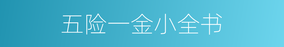 五险一金小全书的同义词