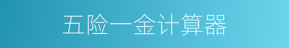 五险一金计算器的同义词