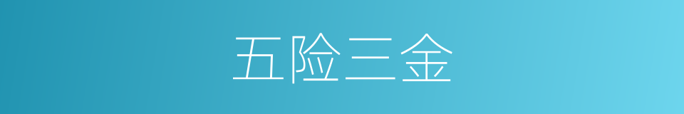 五险三金的同义词