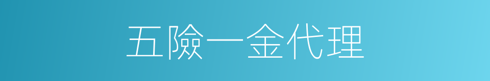 五險一金代理的同義詞