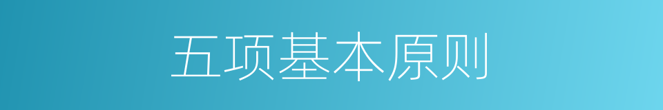 五项基本原则的同义词