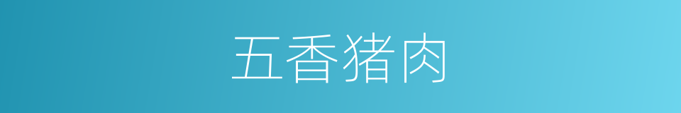 五香猪肉的同义词