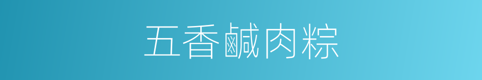 五香鹹肉粽的同義詞