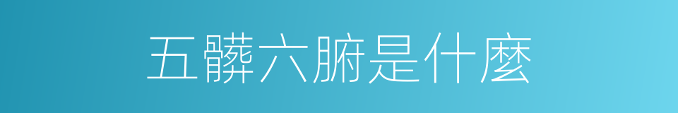 五髒六腑是什麼的同義詞