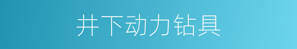 井下动力钻具的同义词