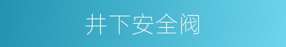 井下安全阀的同义词