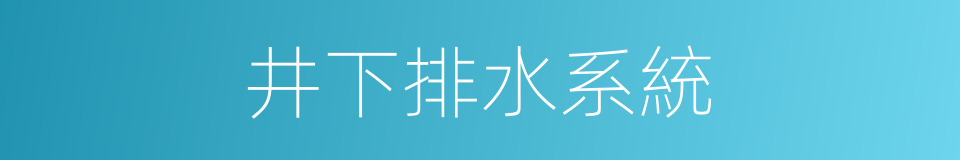 井下排水系統的同義詞