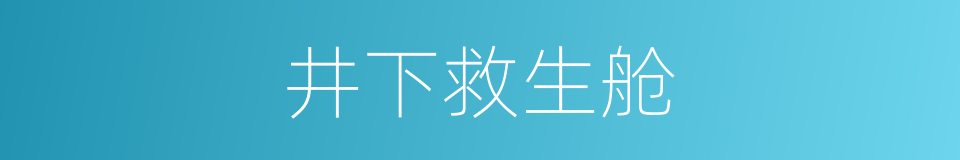 井下救生舱的同义词