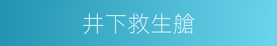 井下救生艙的同義詞