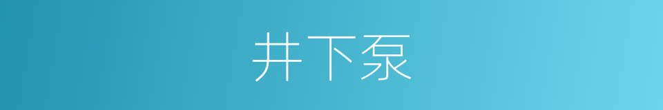 井下泵的同义词