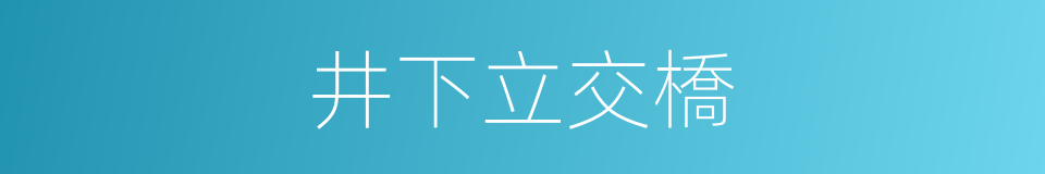 井下立交橋的同義詞