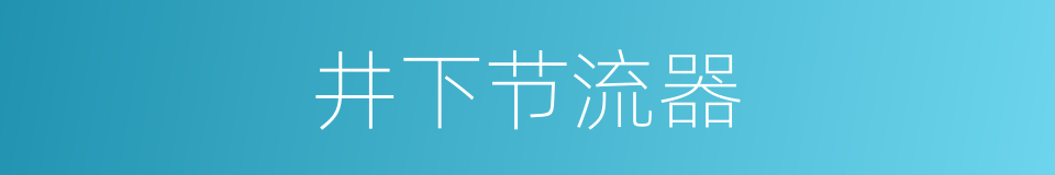 井下节流器的同义词