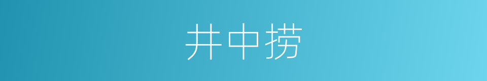 井中捞的同义词