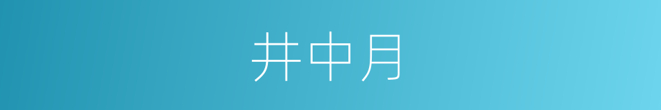 井中月的意思