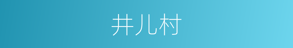 井儿村的同义词