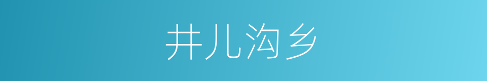 井儿沟乡的同义词