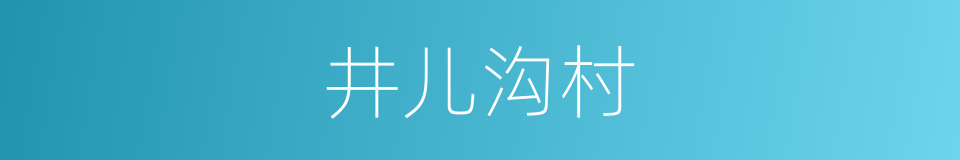 井儿沟村的同义词