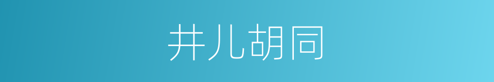 井儿胡同的同义词