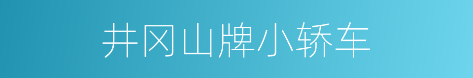 井冈山牌小轿车的同义词